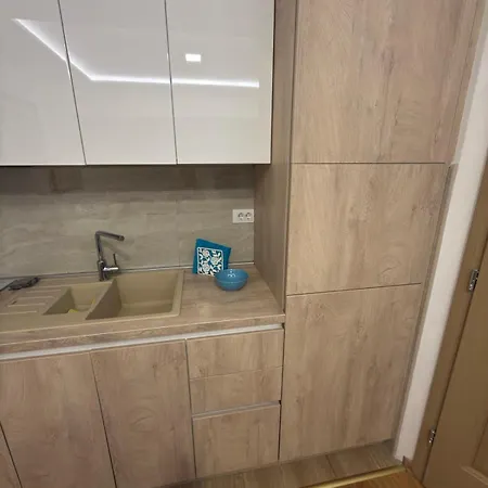 Vip Aleksa Centar Apartman Zlatibor