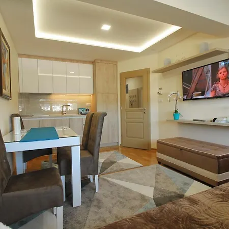 Apartman Vip Aleksa Centar