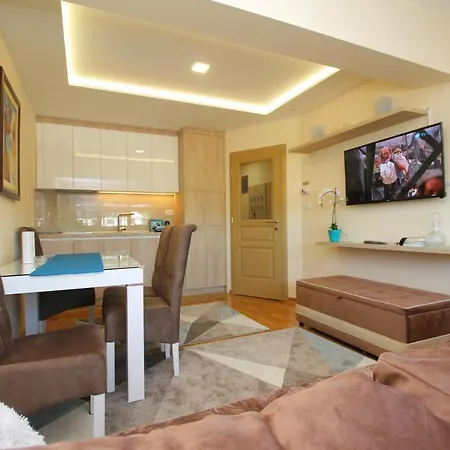 Apartman Vip Aleksa Centar *