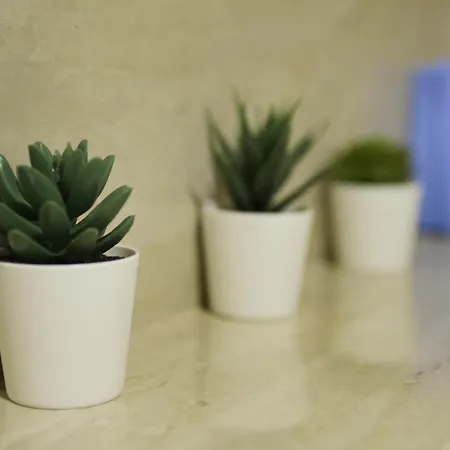 Vip Aleksa Centar * 즐라티보