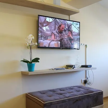 Vip Aleksa Centar Apartman Zlatibor