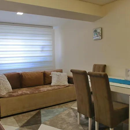 Vip Aleksa Centar 아파트