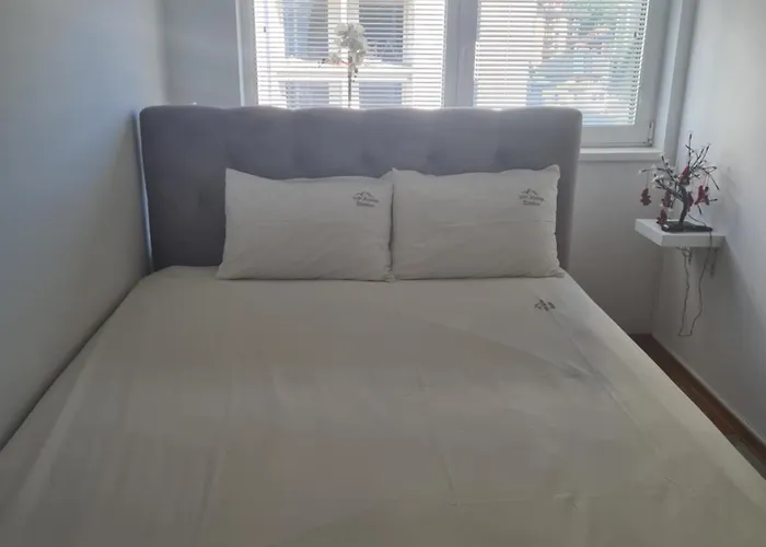 Vip Aleksa Centar Zlatibor