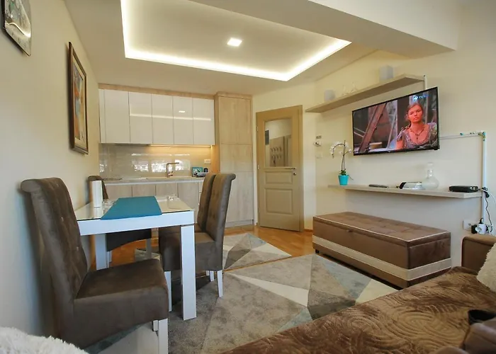 Apartman Vip Aleksa Centar