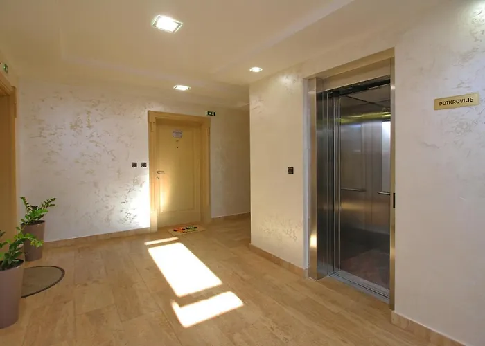 Vip Aleksa Centar Zlatibor