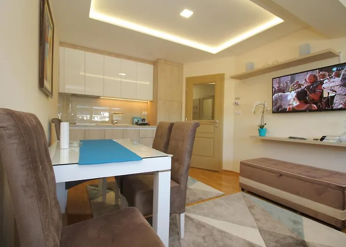 Apartman Vip Aleksa Centar *